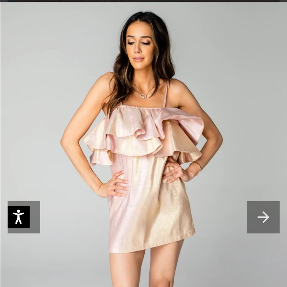 Buddy Love’s “Kinsley Ruffle Dress” in Rose. Size Small